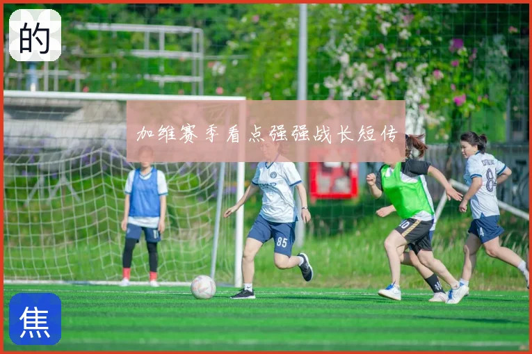 加维赛季看点强强战长短传